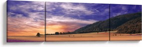 Obraz lawendowej łąki (170x50 cm)