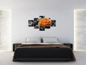 Obraz kwiatu (125x70 cm)