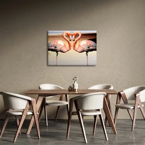 Obraz - dwa flamingi (70x50 cm)