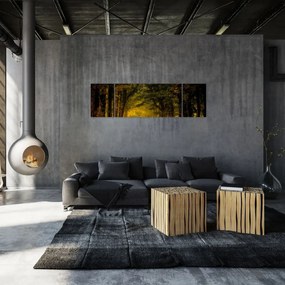 Obraz lasu (170x50 cm)