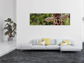Obraz żyrafy od tyłu (170x50 cm)