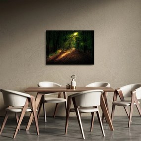 Obraz na szkle - leśna ścieżka (70x50 cm)