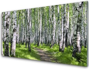 Panel Kuchenny Ścieżka Przez Słoneczny Las