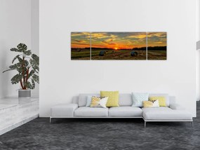 Obraz - Wiejskie bale (170x50 cm)
