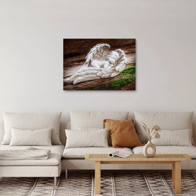 Obraz - Śpiący anioł (70x50 cm)