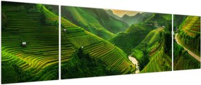 Obraz - Tarasy ryżowe Mu Cang Chai (170x50 cm)