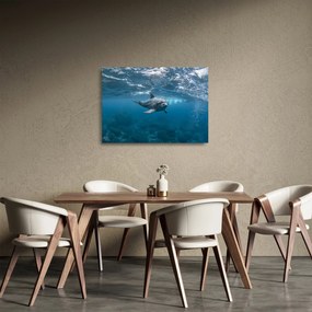 Obraz na szkle - Delfin pod wodą (70x50 cm)
