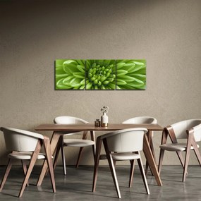 Obraz - Obraz rośliny w trybie makro (z zegarem) (90x30 cm)