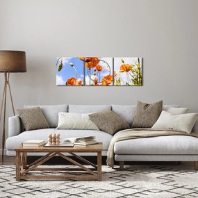 Obraz maków (z zegarem) (90x30 cm)