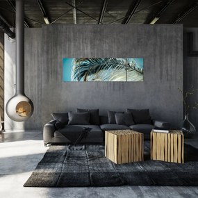 Obraz pióra (170x50 cm)