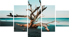 Obraz -  Wyłowiono na plaży (125x70 cm)