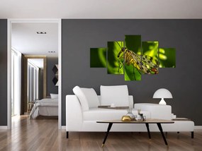 Obraz owada (125x70 cm)