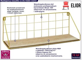 Złota metalowa półka ścienna na książki - Erna