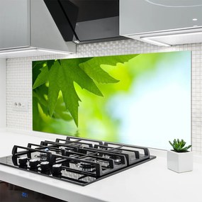 Szkło Dekoracyjne do Kuchni Soczyste Zielone Liście