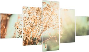 Obraz - Rośliny po deszczu (125x70 cm)