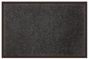 Wycieraczka TELIO, 40 x 60 cm