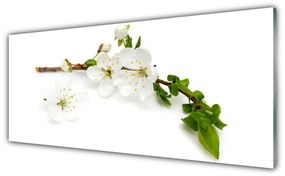 Obraz na Szkle Kwiat Gałąź Natura Roślina