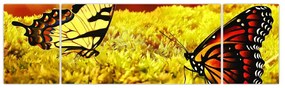 Obraz motyli (170x50 cm)