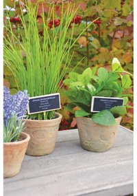Sztuczna roślina (wysokość 27 cm) Chives – Esschert Design