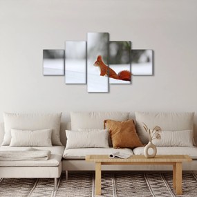 Obraz wiewiórki (125x70 cm)