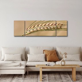 Obraz - Pszenica (170x50 cm)