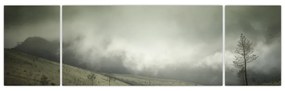 Obraz krajobrazu przed burzą (170x50 cm)