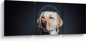 Obraz labradora (z zegarem) (90x30 cm)