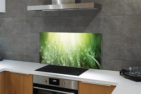 Szklany Panel Trawa w Promieniach Słońca