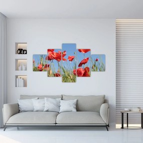 Obraz - Maki (125x70 cm)
