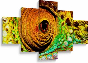 Obraz - Kameleon (125x70 cm)