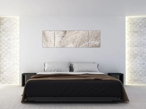 Obraz - Szczegół (170x50 cm)