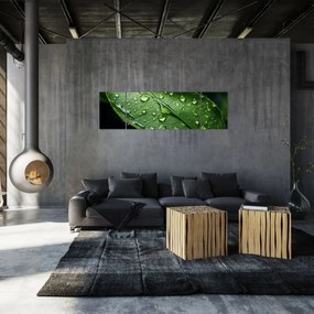 Obraz - Liść po deszczu (170x50 cm)