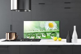 Szkło do Kuchni na Ścianę Rosa Na Stokrotkach