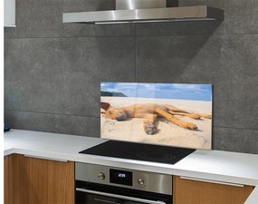 Szklany Panel Leżący pies plaża