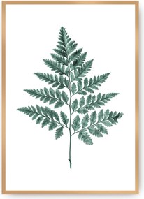 Plakat Fern Emerald Green