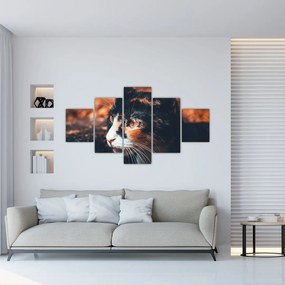 Obraz - Spojrzenie kota (125x70 cm)