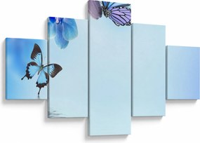 Obraz - Motyl na kwiatach orchidei, niebieski (125x70 cm)