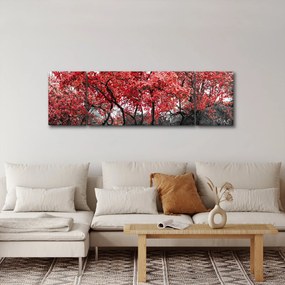 Obraz - Czerwone drzewa, Central Park, New York (170x50 cm)