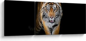 Obraz - Tygrys (z zegarem) (90x30 cm)