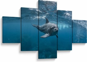 Obraz - Delfin pod wodą (125x70 cm)