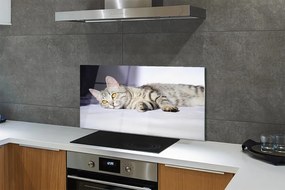 Szkło do Kuchni na Ścianę Leniwe Popołudnie na Kanapie