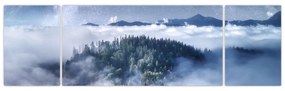 Obraz lasu we mgle (170x50 cm)