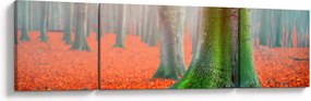Obraz drzew (170x50 cm)
