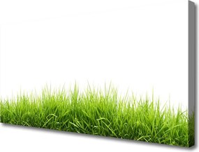 Zdjęcie na płótnie Naturalny Dywan Trawy