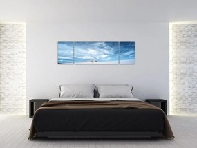 Obraz pola (170x50 cm)