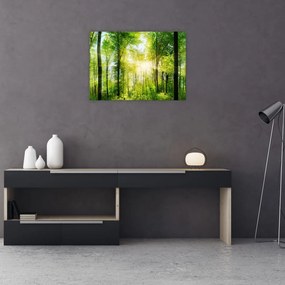 Obraz - Świt w lesie (70x50 cm)