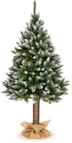 CHOINKA ŚWIERK DIAMENTOWY NA PNIU 160 CM OŚNIEŻONY