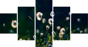 Obraz - Trawa (125x70 cm)