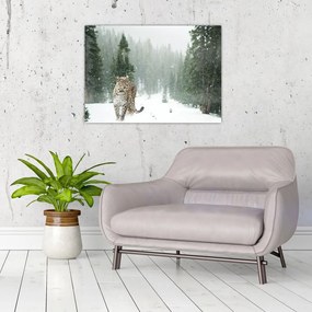 Obraz na szkle - lampart na śniegu (70x50 cm)
