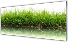 Panel Kuchenny Naturalna Świeżość Zieleni